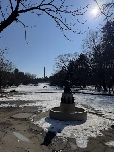 Езерото с лилиите