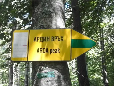 Изворът на Арда
