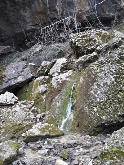 Waterfall Jumper