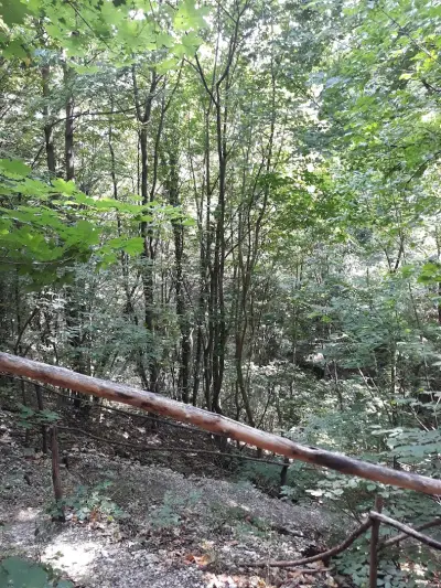 Waterfall Jumper