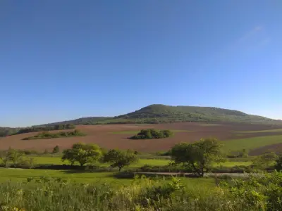 Голямата канара (Седемте одаи)