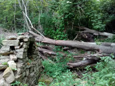 Аязмо "Агия Кириаки (Света Неделя) , Варна, кв. Галата