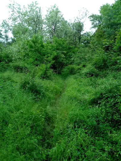 Аязмо "Агия Кириаки (Света Неделя) , Варна, кв. Галата
