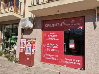 Профи Кредит