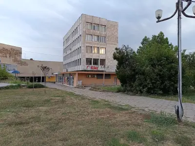 Луковит