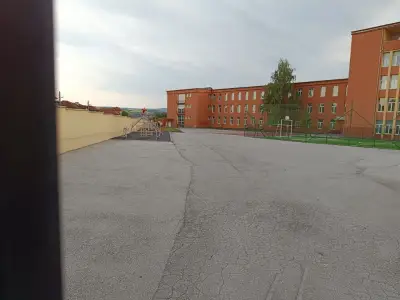 Луковит