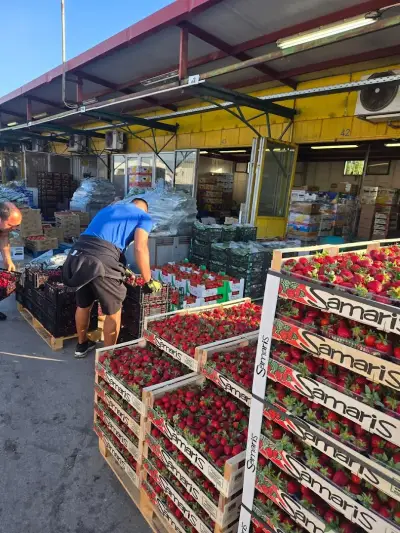 Italian fruits Склад за Италиански Ябълки