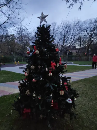 Парк Чайка