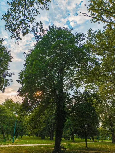 Парк Рибница