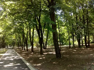 Ботев