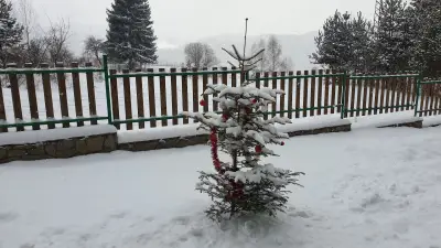 Резиденция за Спа Туризъм и отдих - Вила Бор