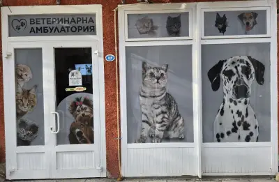 Ветеринарна клиника
