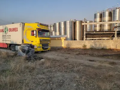 Logodaj Winery
