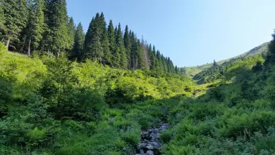 Хербалкан