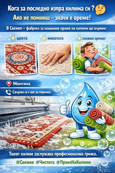 Целогодишно машинно пране на килими '' Свежко'', гр. Монтана