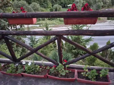 Беденски Минерални Бани