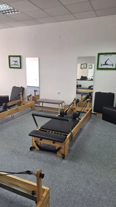 ZF Reformer Studio
