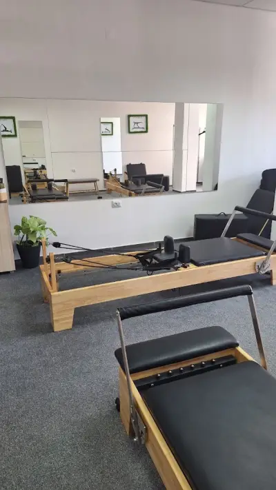 ZF Reformer Studio