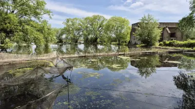 Рибарник при Ильо
