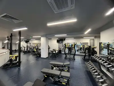 Next Level Fitness Maxi