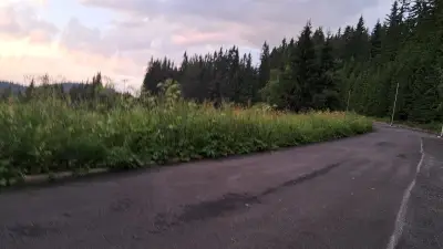 Парк