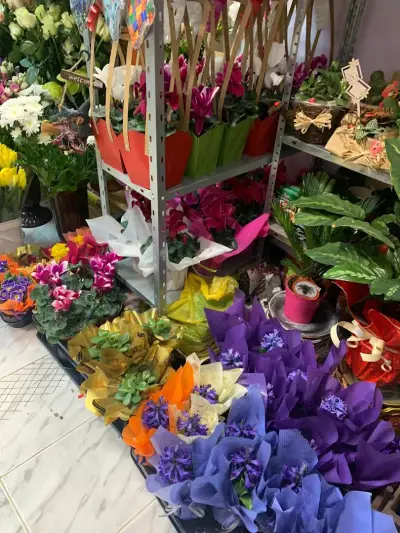 Артшоп Десислава