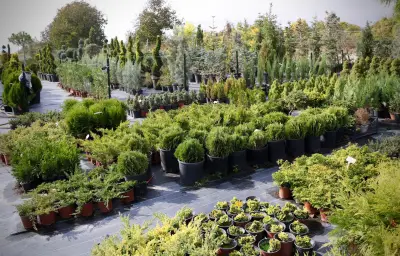 Garden centre "The big hill"