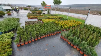 Garden centre "The big hill"