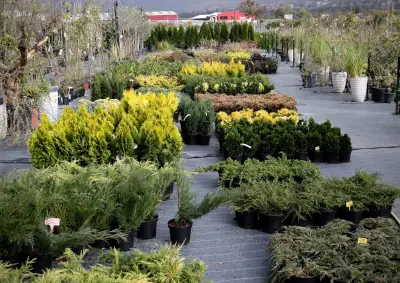 Garden centre "The big hill"