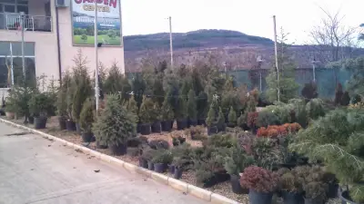 Garden centre "The big hill"