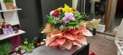Магазин за цветя Color Line / Flower shop Color Line