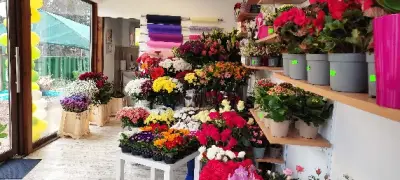 Оранжерия за цветя гр. Нови Искър