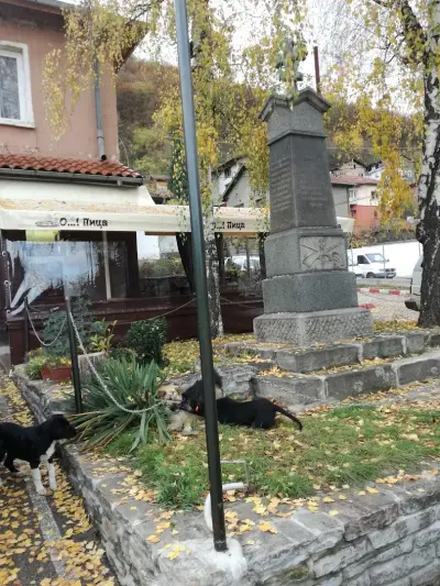 Пазар „Своге“
