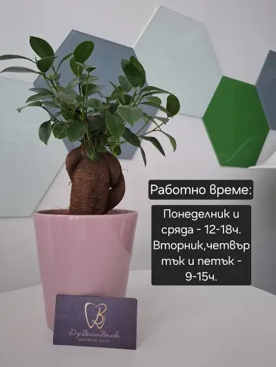 Д-р Весела Вълева - Дентална практика