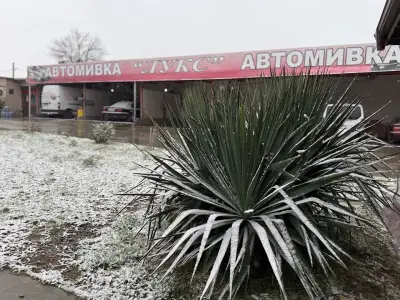 Автомивка "ЛУКС" гр.Карнобат
