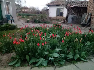 Кметство Драгаш Войвода