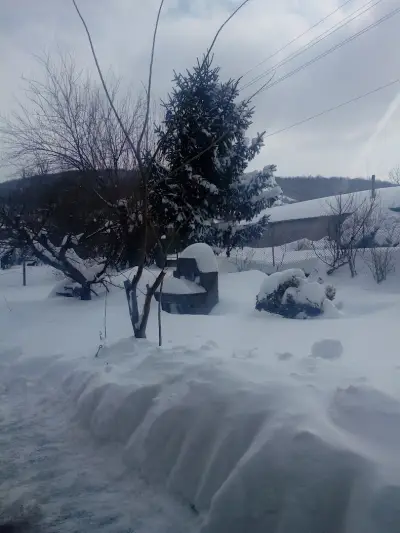 Кметство Драгаш Войвода