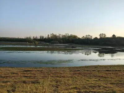 Кметство Драгаш Войвода