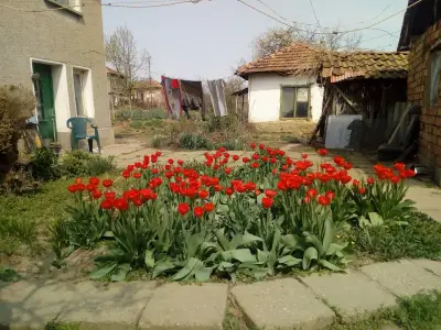 Кметство Драгаш Войвода