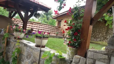 Кметство Димовци