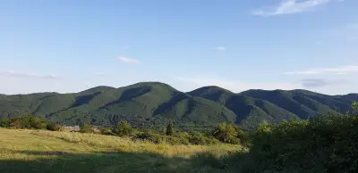Кметство Димовци