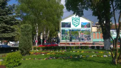 Община Своге