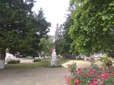Община Сливо поле