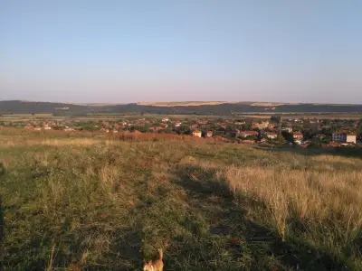 Кметство Ставерци