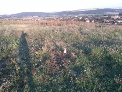 Кметство Ставерци