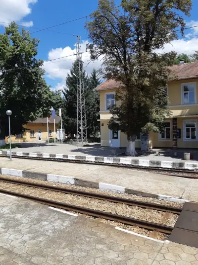 Павликени