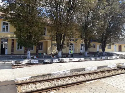 Павликени