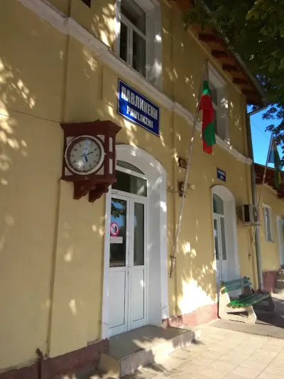 Павликени