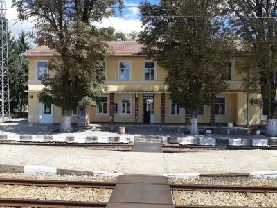 Павликени