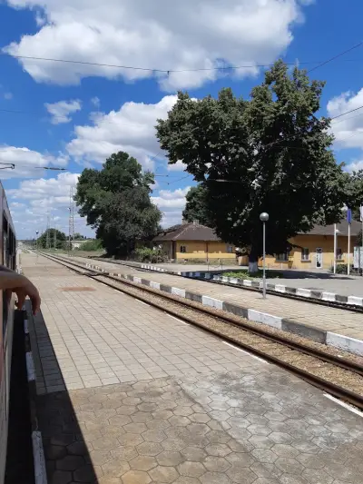 Павликени